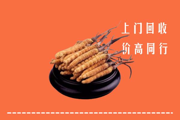 高价求购：毕节市织金回收散虫草